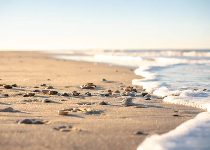 Дом отдыха Drifthuus 2 Gross