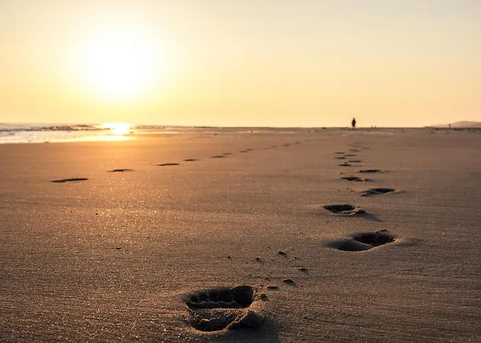 Drifthuus 2 Gross * Шпикерог