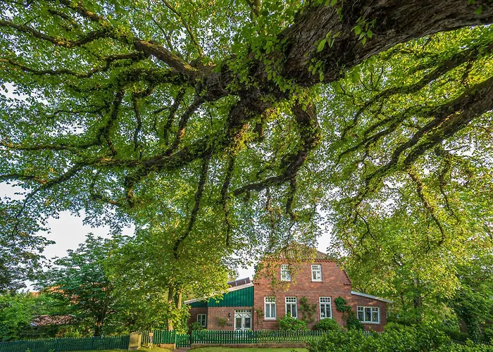 Drifthuus 2 Gross Дом отдыха Шпикерог